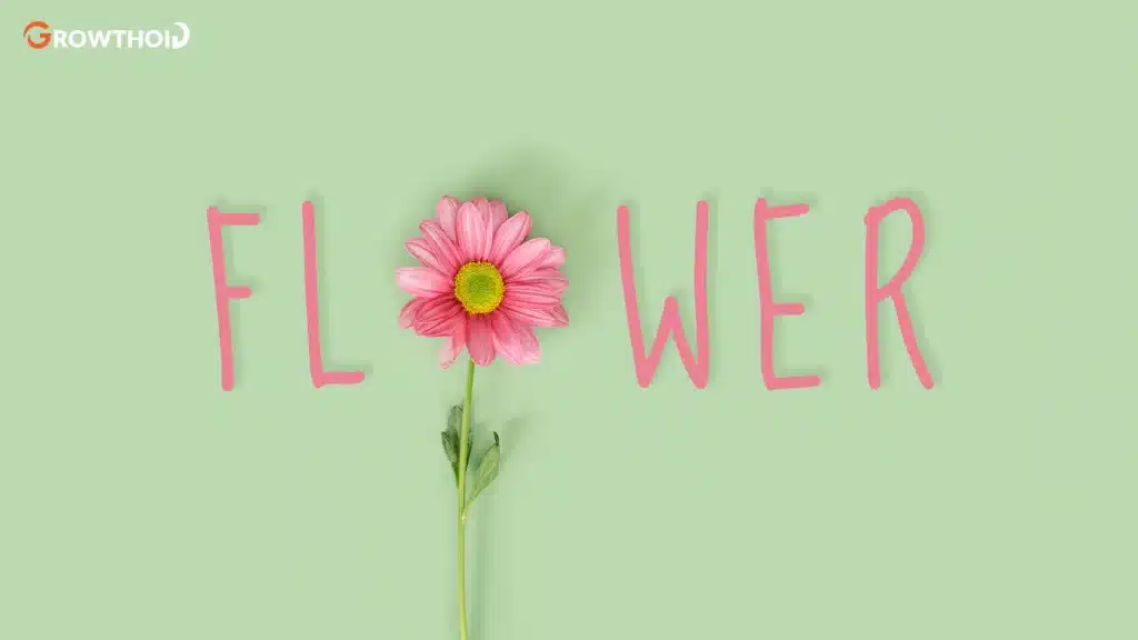 Captivating Flower Captions