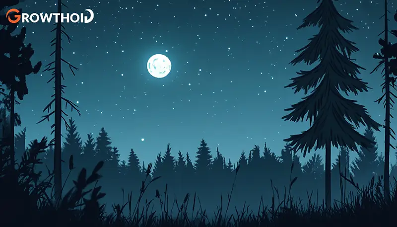 Night Captions for Instagram