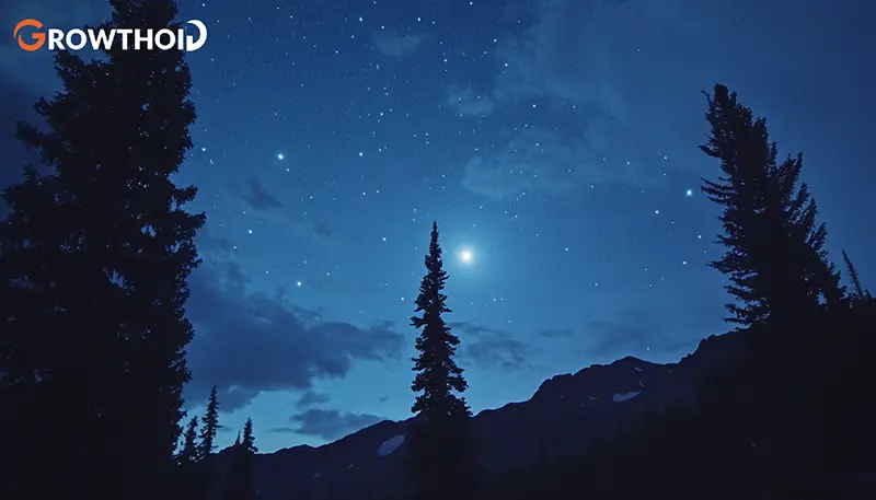 Late Night Instagram Captions